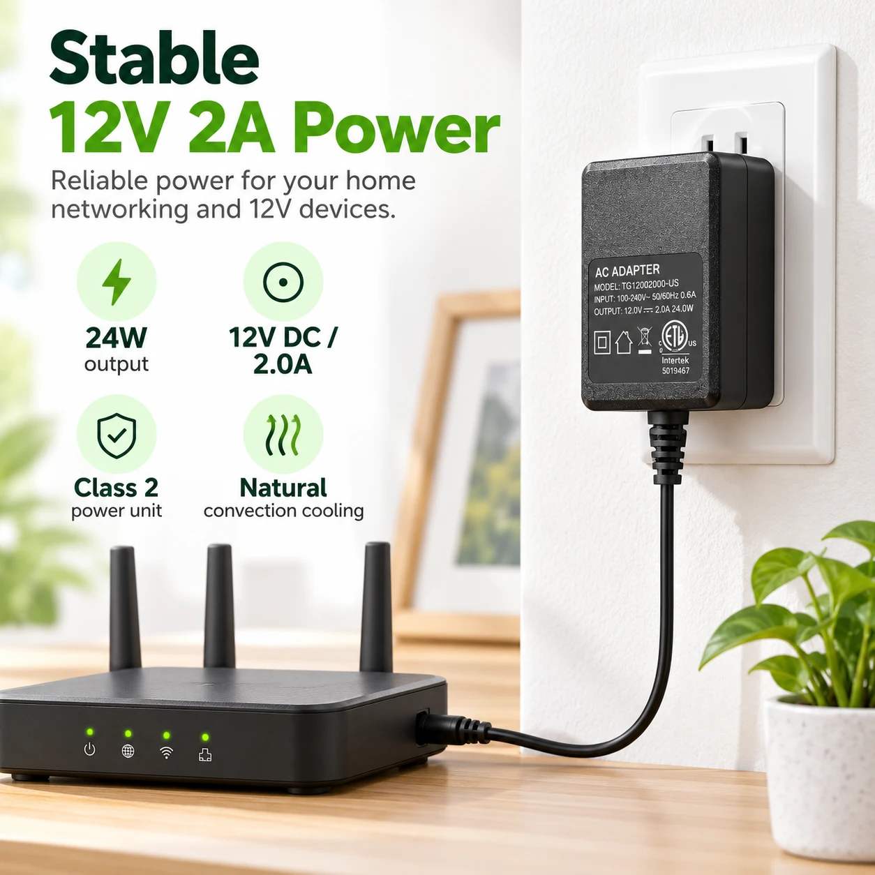 24 W 12 V 2 A power for home networking devices